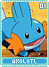 axolotl01